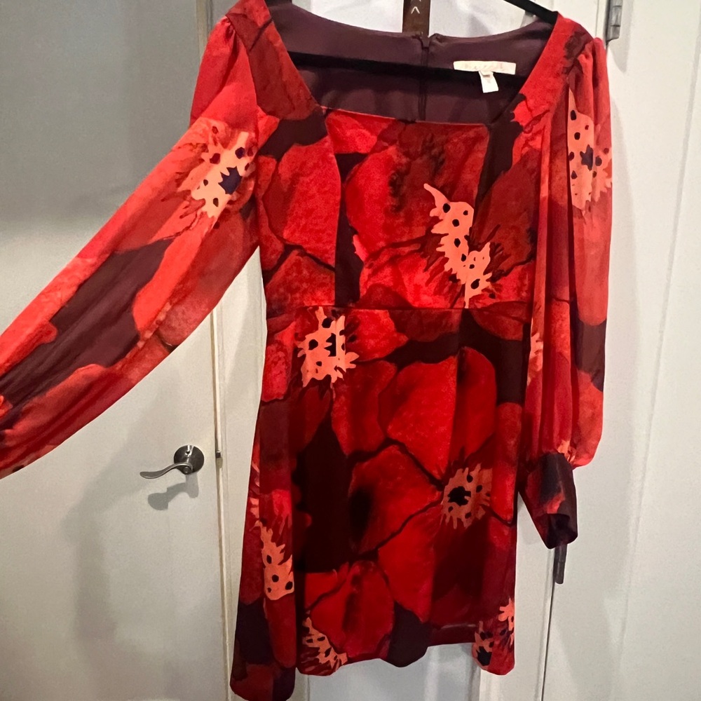 Anthropologie x Hutch red floral mini dress with sheer sleeves
